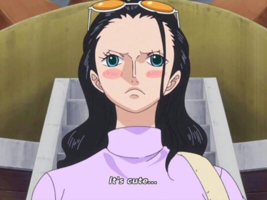 Why Is Nico Robin Is Called The Devil Child? This Is The Answer